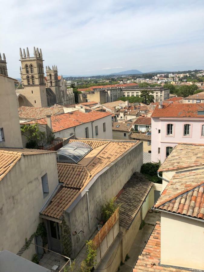 Sous Le Toit Pres De La Cathedrale St.Pierre Lejlighed Montpellier Eksteriør billede